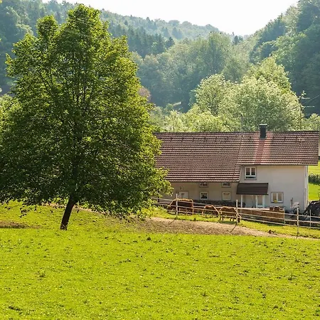 Pur Refugium Für Mensch Und Tier Apartment